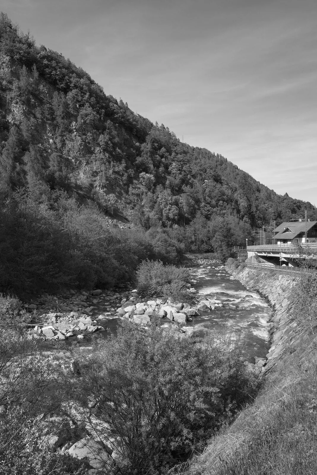 Il torrente Noce tra massi e vegetazione a Dimaro, con il versante boscoso della montagna sullo sfondo
