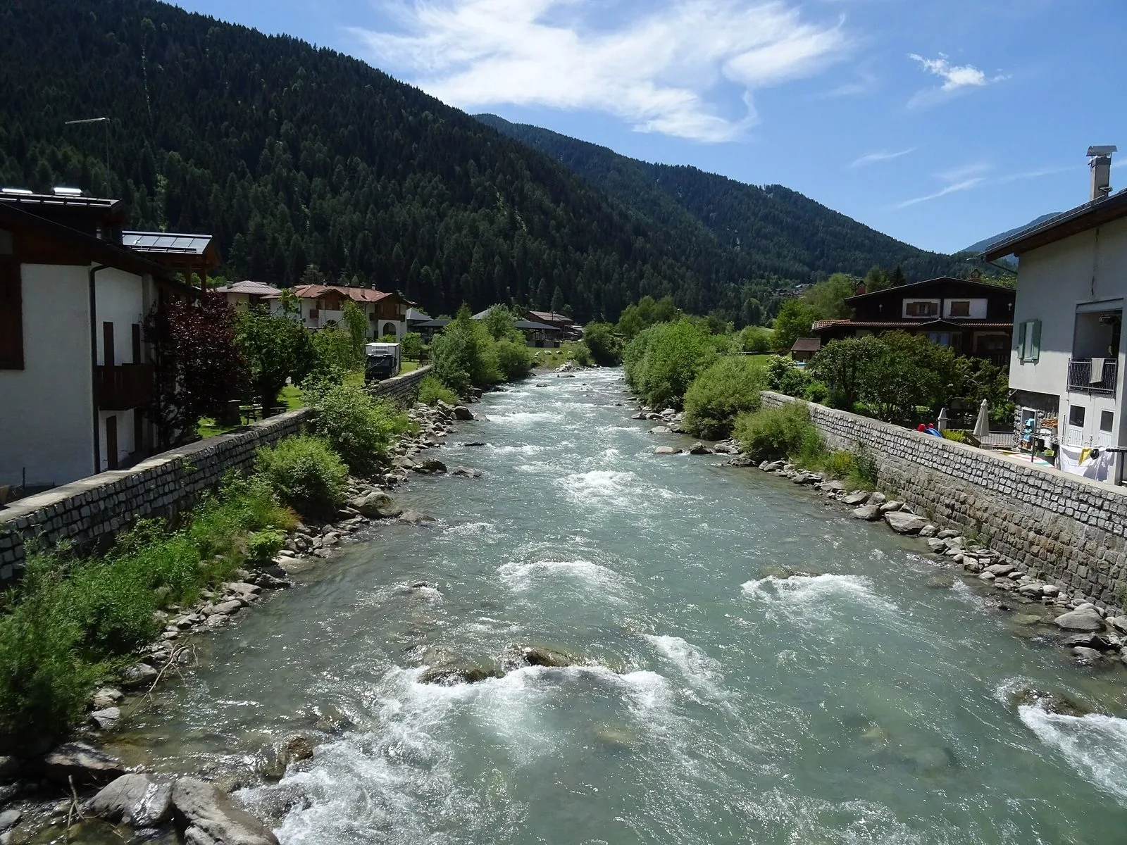Le acque spumeggianti del torrente Noce a Pellizzano, tra sponde in pietra e boschi di conifere della Val di Sole