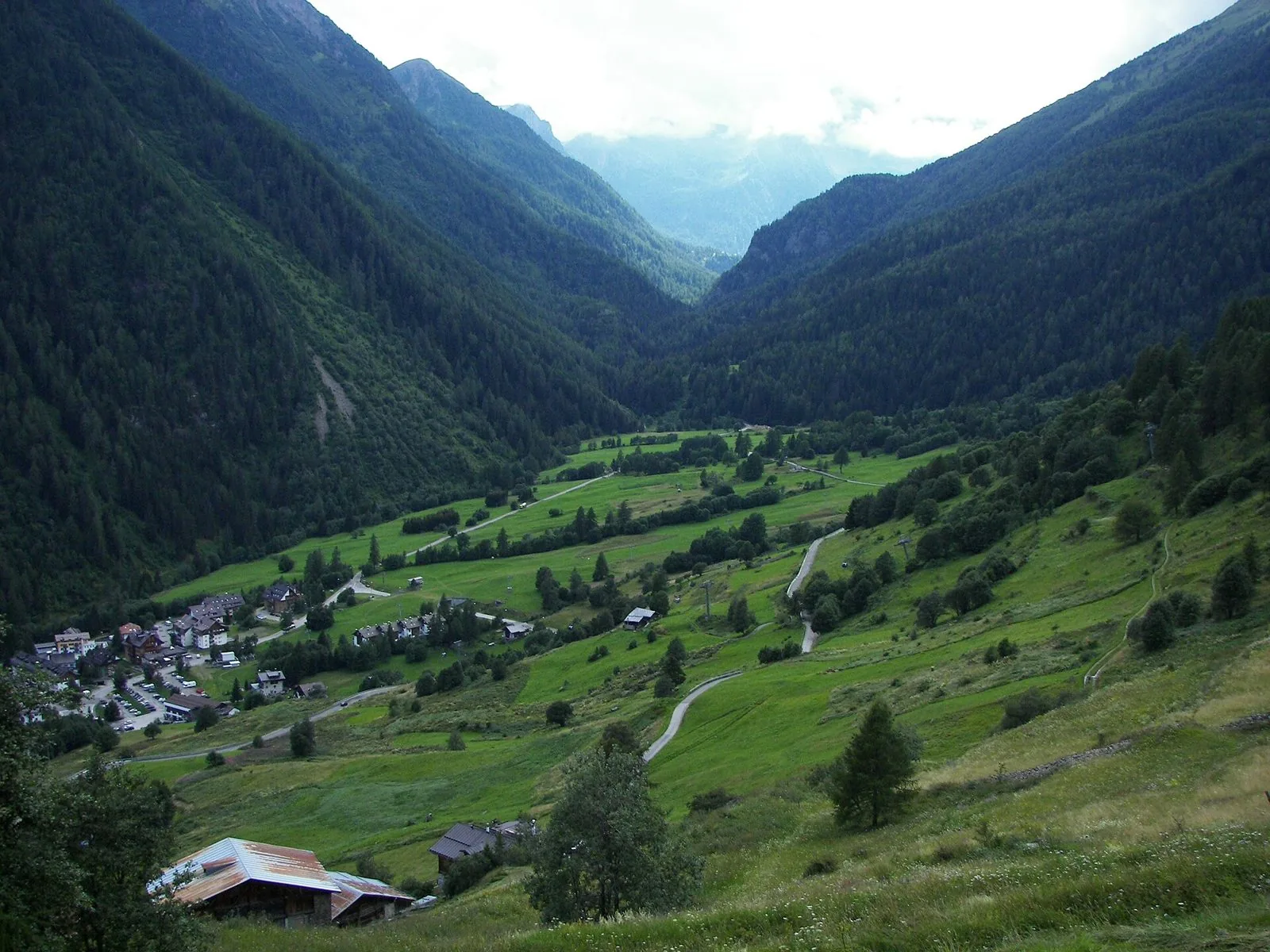 Panorama della Val di Pejo vista dall'alto: prati verdi, un paese in fondovalle e versanti boscosi che salgono verso le cime