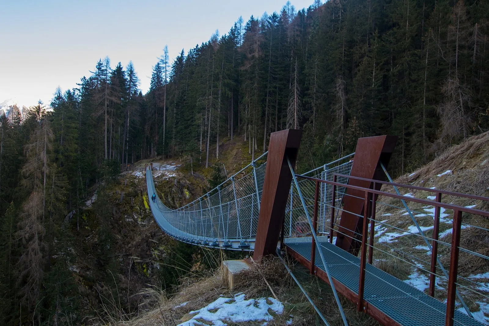 Il ponte sospeso in acciaio sul rio Ragaiolo tra i boschi di abeti e larici della Val di Rabbi