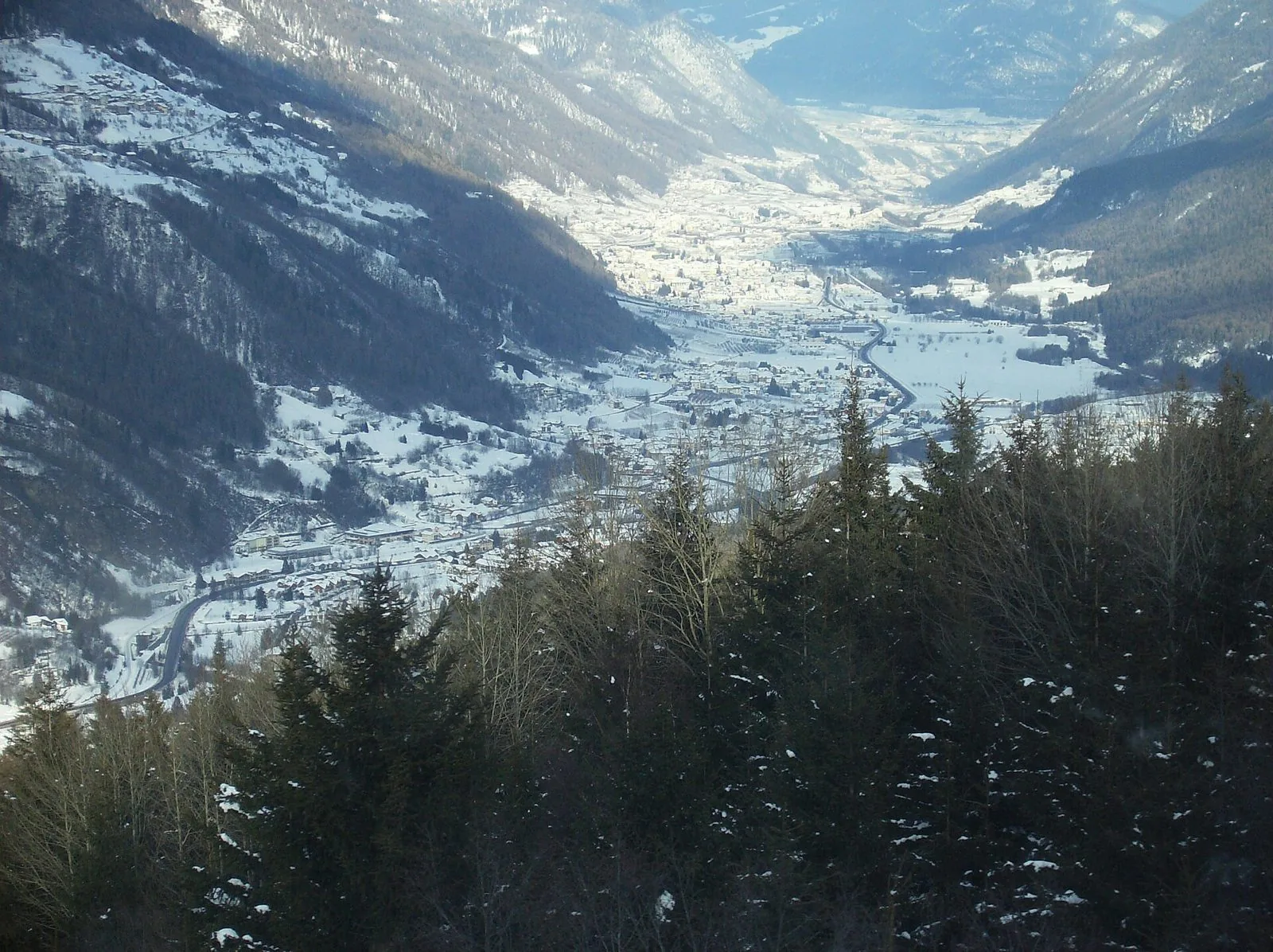 La valle del Noce in Val di Sole coperta di neve, vista dall'alto tra gli abeti